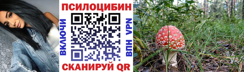 Псилоцибиновые грибы Cubensis  Кириши 