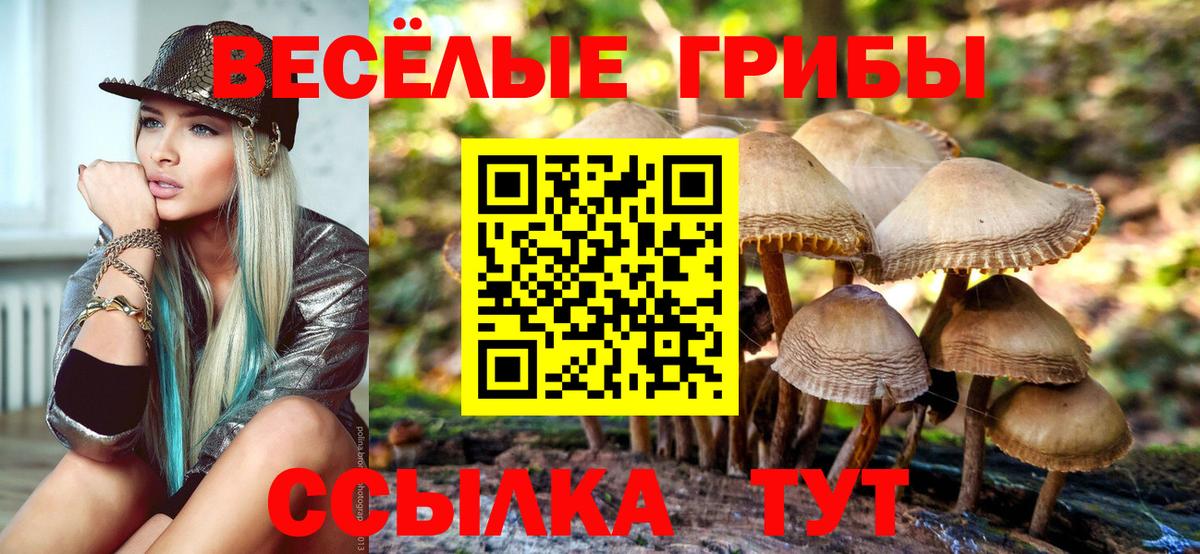 Псилоцибиновые грибы Cubensis  Вход с VPN  Кириши  Галлюциногенные грибы мицелий 