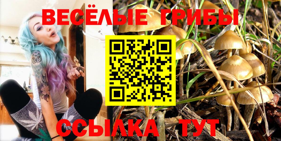 Галлюциногенные грибы прущие грибы Кириши